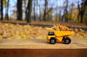 de concept van seizoensgebonden oogsten van herfst gedaald bladeren is afgebeeld in de het formulier van een speelgoed- geel vrachtauto geladen met bladeren tegen de achtergrond van de herfst park foto