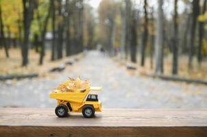 een klein speelgoed- geel vrachtauto is geladen met geel gedaald bladeren. de auto staat Aan een houten oppervlakte tegen een achtergrond van een wazig herfst park. schoonmaak en verwijdering van gedaald bladeren. seizoensgebonden werken foto