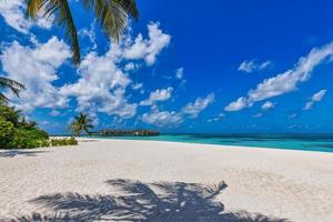 fantastisch Maldiven land- strand, kustlijn met palm bomen, wit zand en water villa's. luxe zomer bestemming toneel, reizen landschap. mooi exotisch kust natuur strand. verbazingwekkend toevlucht vakantie foto