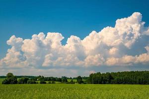 blauw lucht achtergrond met groot wit gestreept wolken in veld. blauw lucht panorama mei gebruik voor lucht vervanging foto