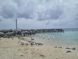 verbazingwekkend landschappen van aruba keer bekeken van de aruba eiland foto