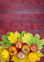 esdoorn- bladeren met rood appels, pompoenen, dadelpruimen en doornstruik Aan bordeaux planken. concept van herfst, oogst, dankzegging. kopiëren ruimte foto