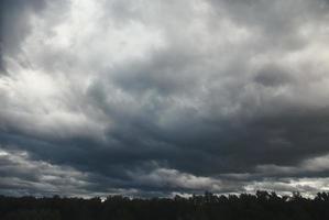 zwaar donker laag wolken over- Woud voordat onweersbui foto
