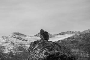 wandelen in de zwitserse alpen foto