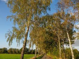 herfst tijd in de buurt Borken in Westfalen foto