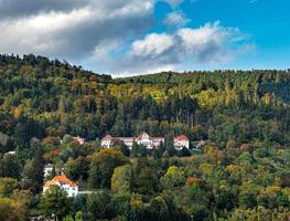 mooi visie van herfst kleurrijk vogezen bergen foto