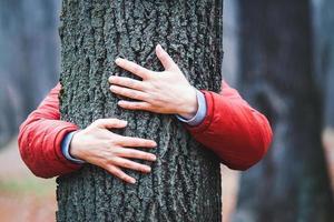 boom knuffelaar, handen omarmen oud boom romp in val, vrouw mediteren in herfst park foto