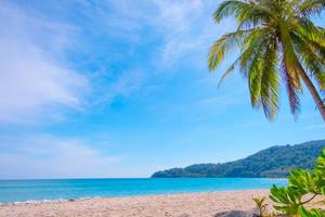 zeegezichten met palmboom op tropisch strand foto