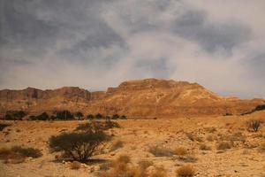 een visie van de judea woestijn in Israël foto