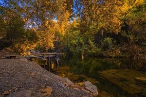 Woud rivier- in herfst gebladerte. herfst Woud rivier- landschap. mooi herfst Woud rivier. rivier- in herfst Woud foto