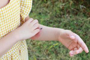 weinig meisje heeft huid uitslag allergie en jeukend Aan haar arm van mug beet foto