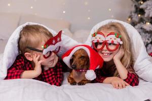 twee kinderen een jongen en een meisje zijn aan het liegen in bed met hun geliefde huisdier voor kerstmis. hoog kwaliteit foto