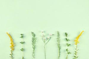 pastel groen gras en geel bloemen Aan licht groen achtergrond, minimaal top visie vlak leggen foto