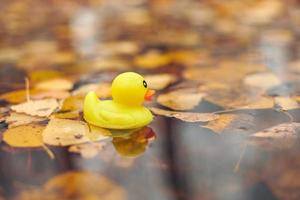 herfst eend speelgoed in plas met bladeren foto