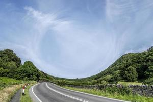 digitale illustratie zomer landschap achtergrond foto