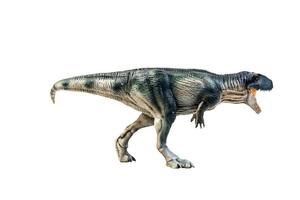 dinosaurus , giganotosaurus Aan geïsoleerd achtergrond knipsel pad foto