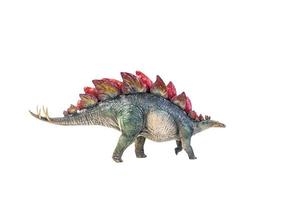 dinosaurus , stegosaurus geïsoleerd achtergrond foto