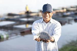 vis boeren in tilapia boerderij vangst groot leven tilapia voor exporteren naar vis markt. vers tilapia. foto