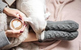 knus huis, vrouw gedekt met warm deken, drankjes koffie, slapen hond De volgende naar vrouw. foto