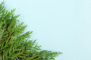 Kerstmis vlak leggen samenstelling van Spar takken Bij de links bodem hoek met kopiëren ruimte Aan de blauw achtergrond. foto