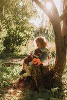 weinig meisje in een regenboog eenhoorn halloween kostuum en een teckel in een jurk met een pompoen mand voor snoepgoed zijn zittend Aan stomp Bij Woud zonsondergang. fantastisch geweldig magisch Woud. ruimte voor tekst foto