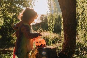 weinig meisje in een regenboog eenhoorn halloween kostuum en een teckel in een jurk met een pompoen mand voor snoepgoed zijn zittend Aan stomp Bij Woud zonsondergang. fantastisch geweldig magisch Woud. ruimte voor tekst foto