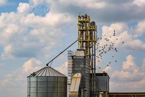agro silo's graanschuur lift met zaden schoonmaak lijn Aan agro-verwerking fabricage fabriek voor verwerken drogen schoonmaak en opslagruimte van agrarisch producten in rogge maïs of tarwe veld- foto