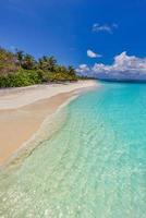 eiland palm boom zee zand strand. exotisch strand landschap. inspireren tropisch strand zeegezicht horizon. zonnig blauw lucht mooi kom tot rust kalmte zomer humeur. vakantie reizen vakantie banier, luxe bestemming foto