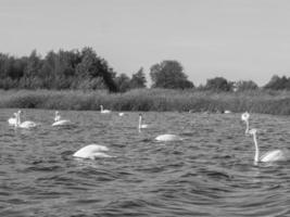 giethoorn in de Nederland foto