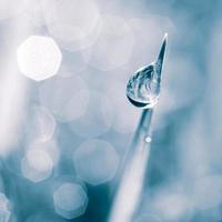 laten vallen van water Aan de gras blad in regenachtig dagen in herfst seizoen, blauw achtergrond foto