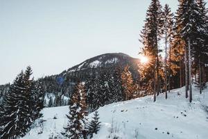 besneeuwde bergtop foto