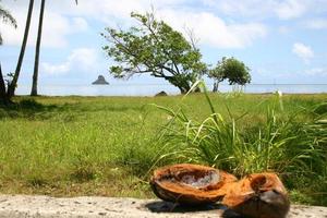 kust op oahu foto