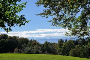 weide in Zollikon foto