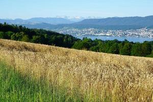 landschap in Zollikon in de zomer foto