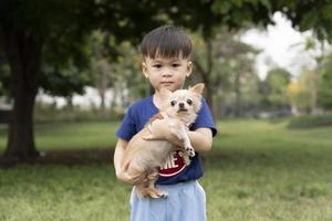 weinig Aziatisch jongen gelukkig met een chihuahua hond in de park, kinderen en huisdier, schattig vrienden liefdevol omarmd foto