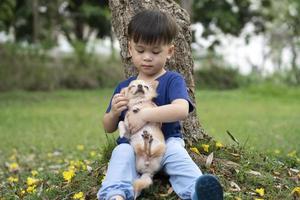 weinig Aziatisch jongen gelukkig met een chihuahua hond in de park, kinderen en huisdier, schattig vrienden liefdevol omarmd foto