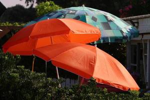 paraplu in de stad park in de buurt de zee. foto