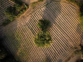 landelijk bouwland antenne foto genomen door drone, meest landelijk mensen hebben een agrarisch carrière.