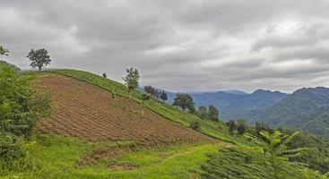 bewolkt heuveltop landschap foto