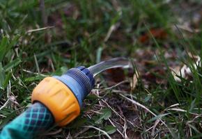 gieter de achtertuin gebruik makend van tuin slang. stromen van water gaan uit vrij van pijp Aan de bodem met drogen planten. dor klimaat, droogte. foto