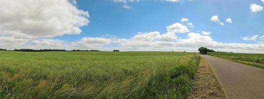 panorama van een noordelijk Europese land landschap met straten, velden en groen gras. foto