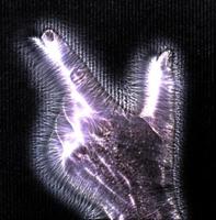 3D-illustratie van een gloeiende menselijke vrouwelijke hand met een Kirlian-aura met verschillende symbolen foto