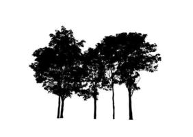 geïsoleerd boom silhouet voor borstel Aan wit achtergrond foto