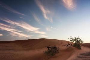 dubai woestijn met prachtige zanduinen foto