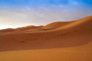 toeristen gaan voor een kameeltocht in de Sahara woestijn foto