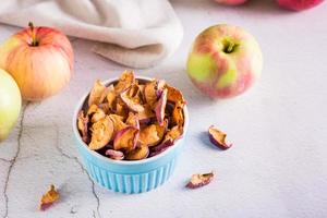 eigengemaakt biologisch droog appels in een kom en vers fruit Aan de tafel foto