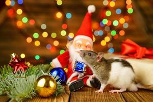 gelukkig Rat Aan met de kerstman claus en geschenk Aan houten achtergrond veelkleurig bokeh foto