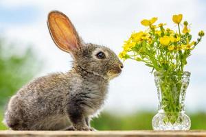 schattig pluizig grijs konijn met een boeket van bloemen foto