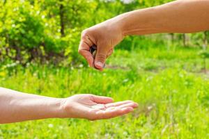 hand- in hand- geeft munten Aan groen achtergrond, financiën concept en leningen. foto