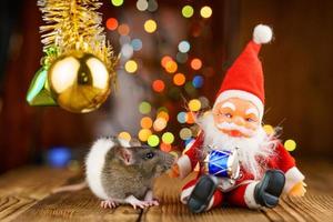 schattig Rat in Kerstmis decor, de kerstman claus en bokeh foto